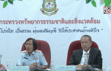 ทยอยปิดอุทยานทางทะเล เฝ้าระวังปะการังฟอกขาว