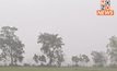 ชาวนาเฮ ฝนตกหนักช่วยฟื้นนาข้าว