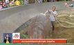 ประชาชนแห่เข้าชมสวนสัตว์ดุสิต วันสุดท้าย