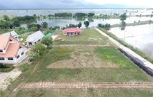 พิจิตร ปลูกต้นดาวเรืองเป็นรูปในหลวง ร.9