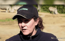 เสือทำร้ายเจ้าหน้าที่สวนสัตว์ในนิวซีแลนด์