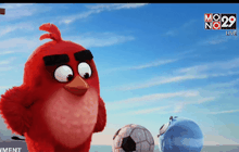 Movie Review : The Angry Birds Movie