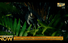 Jurassic ประกาศภาคใหม่ หวังโกยต่อเนื่องได้พระเอกเดิมลุยไดโนเสาร์