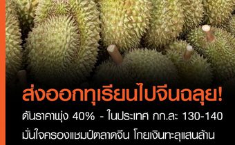 ส่งออก “ทุเรียนไทย” ไปจีนฉลุย ส่งผลราคาพุ่ง 40% – ในประเทศ กก.ละ 130-140 บาท