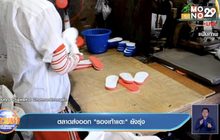 ตลาดส่งออก”รองเท้าแตะ” ยังรุ่ง
