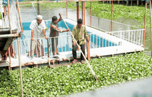 Five minutes Big HERO : สมาชิกชุมชนมัสยิดกมาลุลอิสลาม HERO ผู้พัฒนาแหล่งน้ำ ตอนที่ 3/5