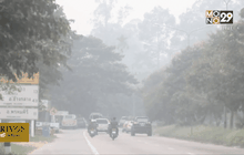 ผลกระทบหมอกควันไฟป่าอินโดนีเซีย