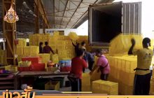 ล้งประกาศหยุดซื้อมังคุดใต้