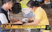 โคราช “ไข้หวัดแมว”ระบาด ป่วยตาย 21 ตัว