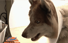 Good Morning Thailand 02-03-59