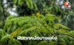 สภาพอากาศวันนี้ ยังมีฝนตกหนักบางแห่ง
