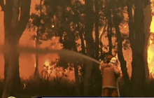 ไฟป่าในออสเตรเลีย