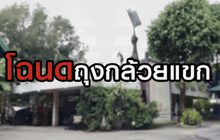 โฉนดถุงกล้วยแขก 16-06-63