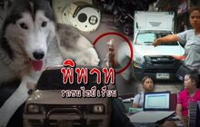 พิพาทรถชนไซบีเรียน
