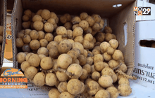 ทหารช่วยขายลองกอง ชาวใต้ 13 ตัน