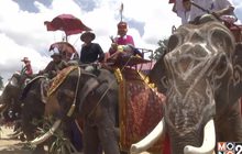 อลังการงานบวชนาคช้างสุรินทร์ ใหญ่ที่สุดในโลก 