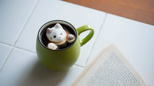 23 Cutest Marshmallow Cats You Might not Want To Eat