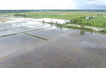 สถานการณ์น้ำท่วมหลายจังหวัด