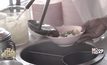 สืบสานความดีจากพ่อ แจกฟรีก๋วยเตี๋ยวให้เด็ก-คนแก่