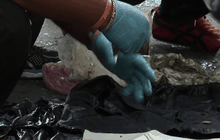 Motion News Break 2 (05-04-59)