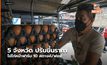 5 จังหวัด ปรับขึ้นราคาไข่ไก่หน้าฟาร์ม 10 สตางค์/ฟอง