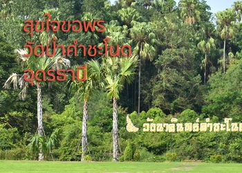 เยือนถิ่นอีสาน สุขใจขอพร วัดป่าคำชะโนด วัดดังแห่งอุดรธานี