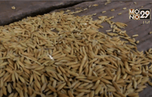 Motion News Break 1 (11-02-59)