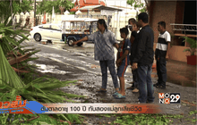 ต้นตาลอายุ 100 ปี ทับสองแม่ลูกเสียชีวิต