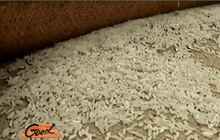 ข้าวราคาตกหลังรัฐเตรียมเปิดประมูล 6.68 แสนตัน