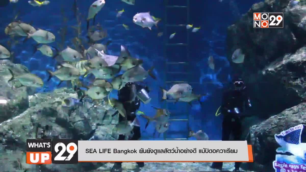 SEA LIFE Bangkok ยันยังดูแลสัตว์น้ำอย่างดี แม้ปิดอควาเรียม