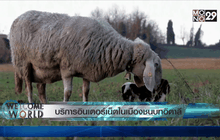 บริการอินเตอร์เน็ตในเมืองชนบทอิตาลี