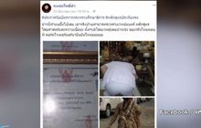 ตรวจสอบสำนักสักยันต์ ออกใบประกาศปลอม