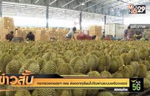 กระทรวงเกษตรฯ เผย ส่งออกทุเรียนไปจีนผ่านระบบพรีออเดอร์