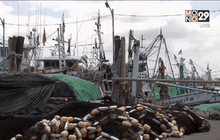 ผู้ประกอบการประมงระยอง ยอมรับแผนเยียวยา