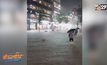 กรุงโซลของเกาหลีใต้เผชิญฝนตกหนักและน้ำท่วม