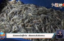 เปิดตลาดกุ้งสู้โควิค  เสียงตอบรับล้นหลาม