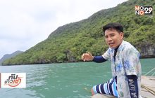 เจษฎาพาลุย : ชมทุ่งดอกไม้ทะเล ชุ่มฉ่ำรับวันสงกรานต์ จ.ชุมพร