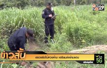 ตรวจยึดไม้หวงห้าม เตรียมส่งข้ามแดน