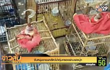 จับหนุ่มขายนกสัตว์ป่าคุ้มครองผ่านเฟซบุ๊ก