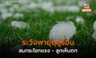สภาพอากาศวันนี้ ร้อนถึงร้อนจัด / ระวังพายุฤดูร้อน ลมกระโชกแรง ลูกเห็บตก