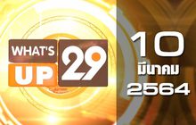 What’s up 29 10-03-64