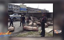 อุบัติเหตุหมูตกรถเกลื่อนถนน จ.นครปฐม