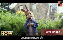 Movie Review : Peter Rabbit
