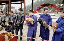 การแข่งขันวิ่งหมูในจีน