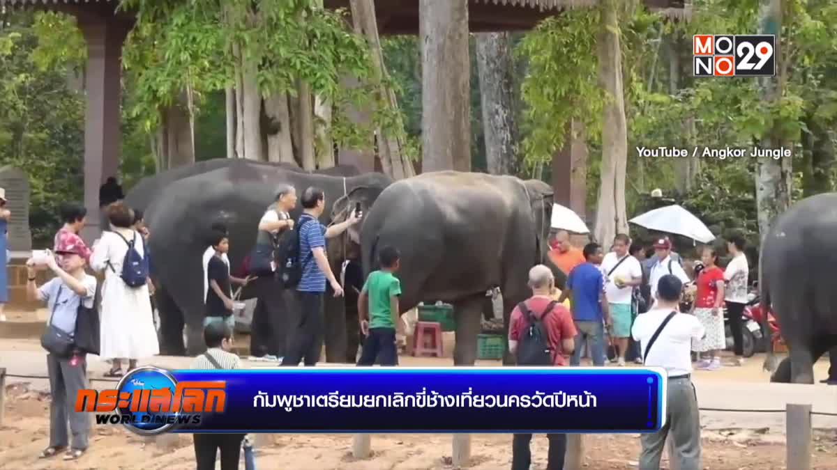 กัมพูชาเตรียมยกเลิกขี่ช้างเที่ยวนครวัดปีหน้า