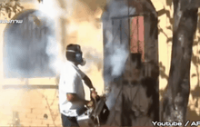 เอเชียเฝ้าระวังไวรัสซิกา