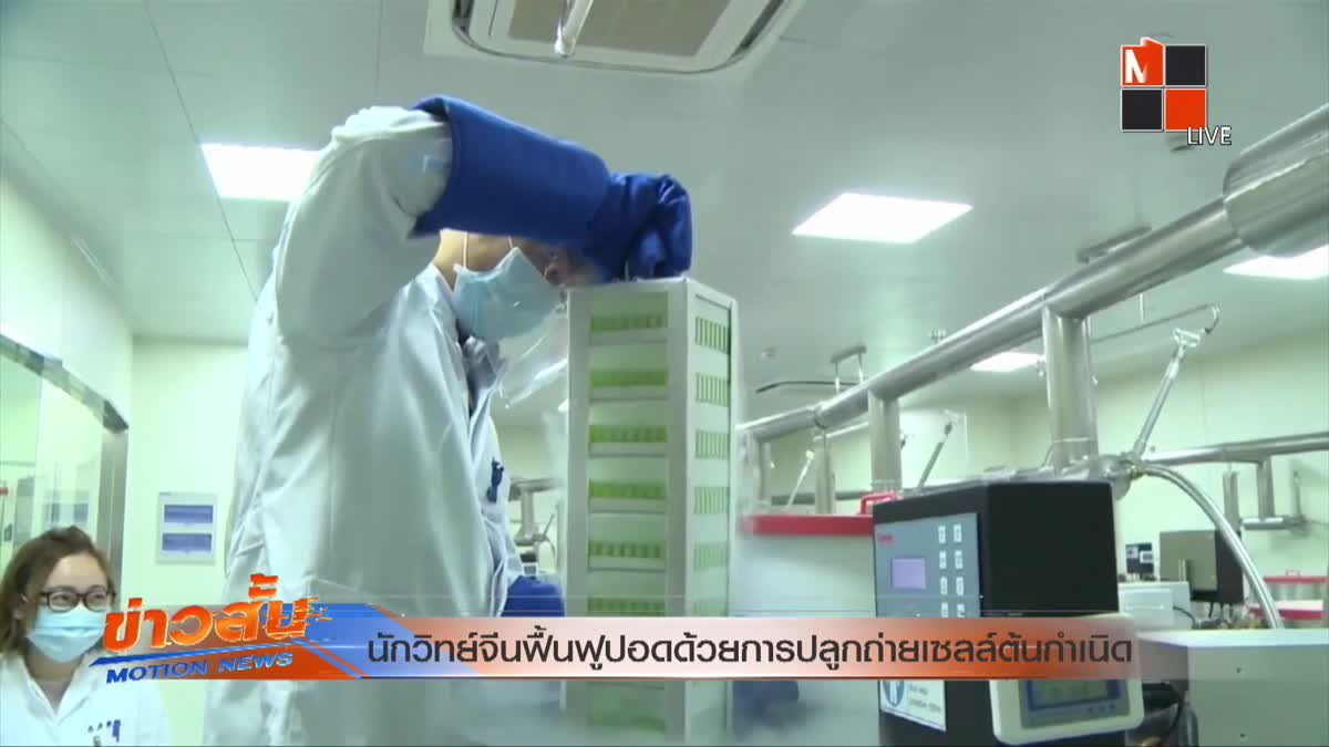 นักวิทย์จีนฟื้นฟูปอดด้วยการปลูกถ่ายเซลล์ต้นกำเนิด