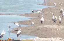 ภัยแล้งเริ่มส่งผลกระทบพื้นที่ภาคกลาง