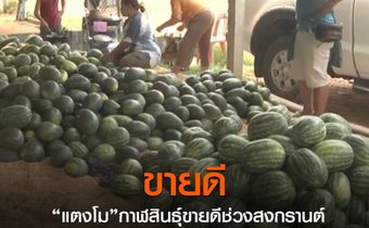 แตงโม กาฬสินธุ์ขายดีช่วงสงกรานต์