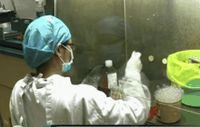 จีนพบผู้ติดเชื้อไวรัสซิกาเพิ่ม 2 ราย